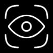 icon eye vision